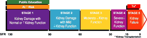 5 Stages of Chronic Kidney Disease